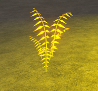 Sunblessed Leaf