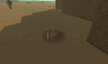 Thumbnail for version as of 06:50, 14 October 2026