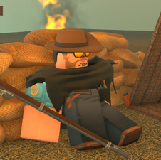 The Professional