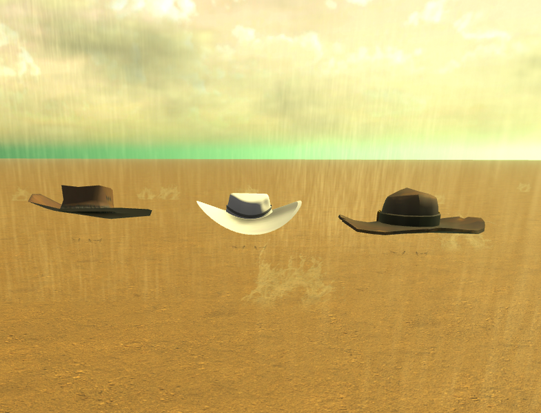 File:Cowboy Hat.png