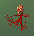 Thumbnail for version as of 17:24, 19 September 2026