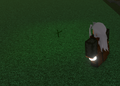 Thumbnail for version as of 22:08, 11 September 2026