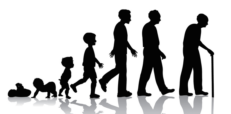 File:Aging.png